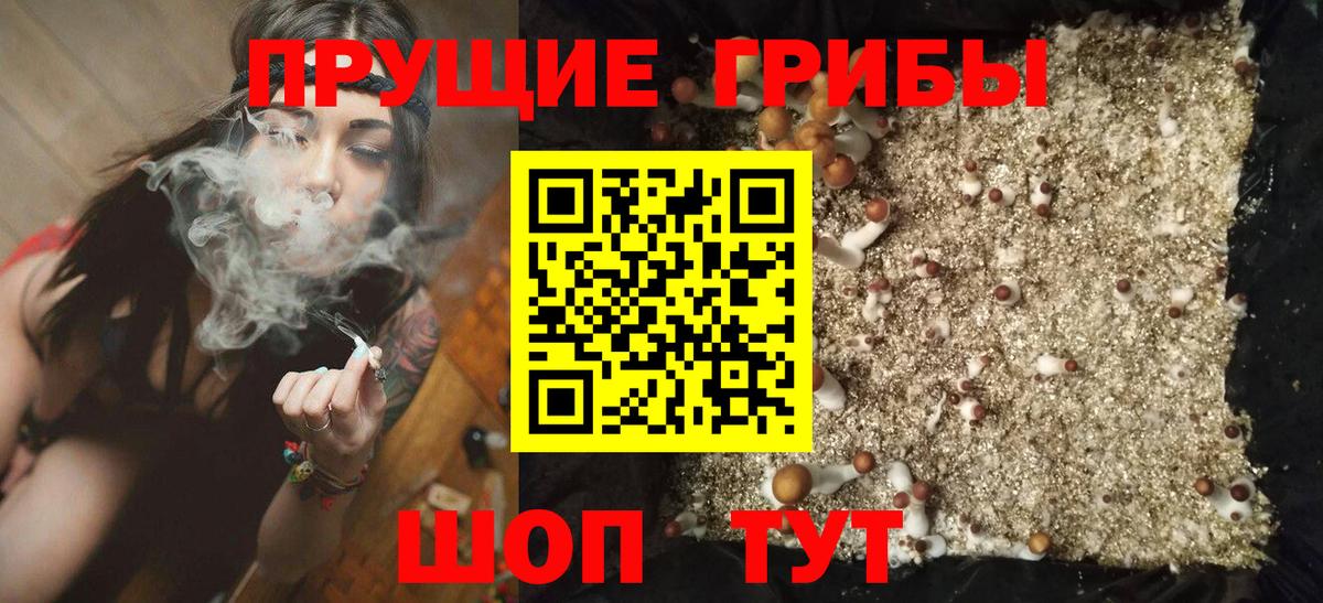 Нальчик  где купить   Вход с VPN  Псилоцибиновые грибы Magic Shrooms 